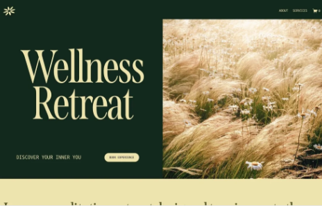 Full view of a delivered ₹499 Essential website design